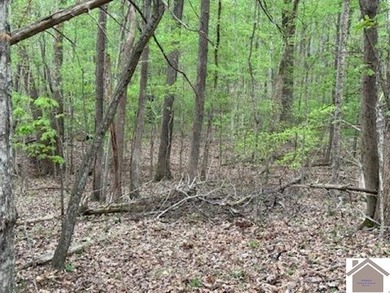 WATERFRONT LOT WITH A GENTLE SLOPE OVERLOOKING LAKE BARKLEY!! - photo 13