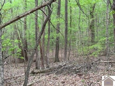 WATERFRONT LOT WITH A GENTLE SLOPE OVERLOOKING LAKE BARKLEY!! - photo 14