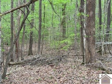 WATERFRONT LOT WITH A GENTLE SLOPE OVERLOOKING LAKE BARKLEY!! - photo 15