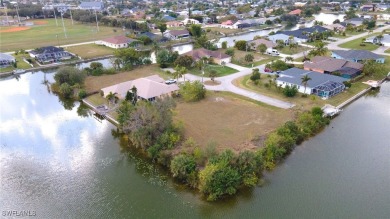 Lake Lot For Sale in Cape Coral, Florida