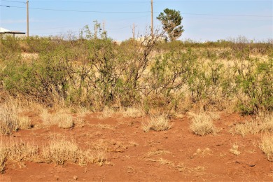 Conchas Lake Lot For Sale in Conchas Dam New Mexico
