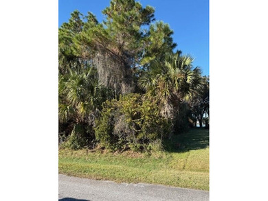 Lake Lot For Sale in Palm Coast, Florida