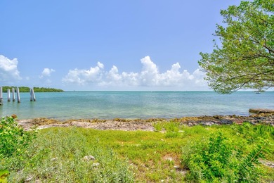 RARE 100' of waterfront re-development opportunity with DEEP - photo 2
