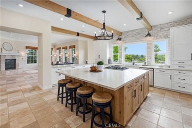 24705 Tiburon - photo 9