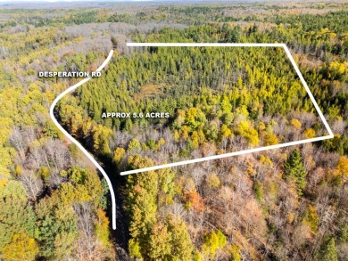 Lake Acreage For Sale in Oma, Wisconsin