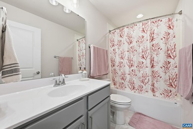 NEW PRICE! BRAND NEW (2025) End Unit in Crozet's coveted Old - photo 41