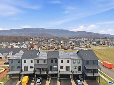 NEW PRICE! BRAND NEW (2025) End Unit in Crozet's coveted Old - photo 44