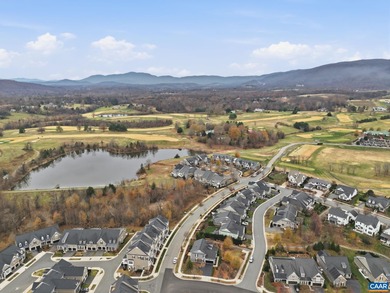 NEW PRICE! BRAND NEW (2025) End Unit in Crozet's coveted Old - photo 45