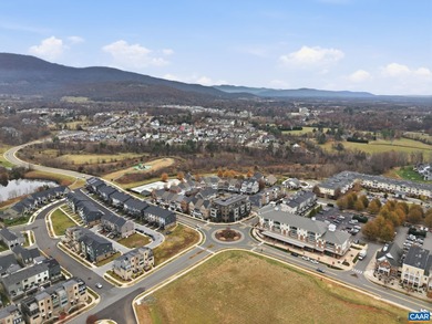 NEW PRICE! BRAND NEW (2025) End Unit in Crozet's coveted Old - photo 47