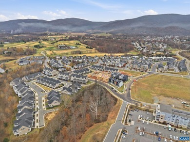 NEW PRICE! BRAND NEW (2025) End Unit in Crozet's coveted Old - photo 49
