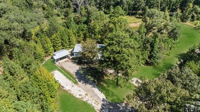 (private lake, pond, creek) Home For Sale in Ben Wheeler Texas