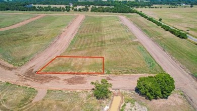 Lake Lot For Sale in Gordonville, Texas