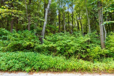 Spectacular lot located on the Bay of Green Bay and on a dead - photo 6