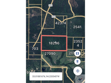 (private lake, pond, creek) Acreage For Sale in Bivins Texas