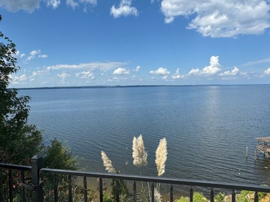 This home on Toledo Bend Lake will keep you on your patio lost - photo 39