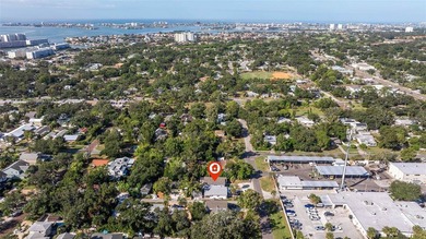 Amazing Gulfport Location - Flood Zone X! Discover this charming - photo 40