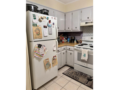 This wonderful 2BR/2BA fully furnished condominium is located - photo 10