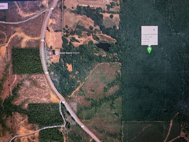 Toledo Bend Reservoir Acreage For Sale in Many Louisiana