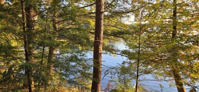 Lake Lot For Sale in Presque Isle, Wisconsin