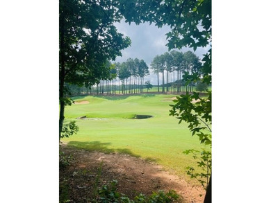 (private lake, pond, coastal) Lot For Sale in Ball Ground Georgia