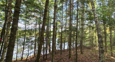Lake Acreage For Sale in Presque Isle, Wisconsin