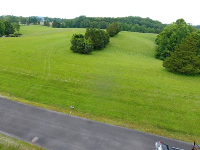 ATTENTION DEVELOPERS! 17 Lots Close to Lake Cumberland Marina - photo 3