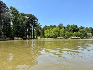 Discover a rare WATERFRONT RANCHETTE opportunity on Lake - photo 13