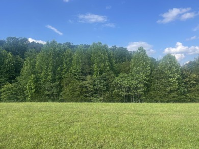 ATTENTION DEVELOPERS! 17 Lots Close to Lake Cumberland Marina - photo 9