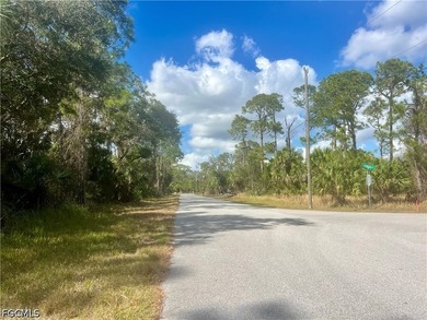 This lot offers a fantastic opportunity to build your dream home - photo 3