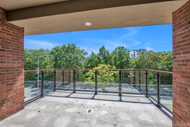 Welcome to this rare waterfront facing gem in Whitestone! This - photo 43