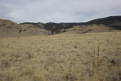 12 beautiful, buildable acres with fantastic views of Eagle Nest - photo 3
