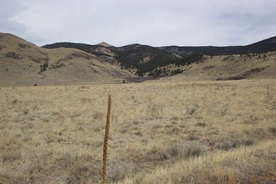 12 beautiful, buildable acres with fantastic views of Eagle Nest - photo 6