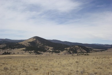 12 beautiful, buildable acres with fantastic views of Eagle Nest - photo 7