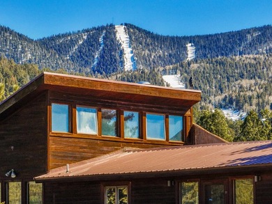 Embrace the ultimate mountain lifestyle in this exceptional home - photo 3