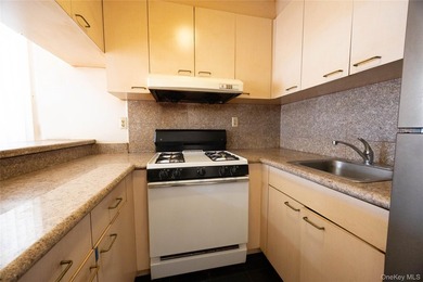 Up for sale is 139-87 35th Ave Unit #3C, it comes with one large - photo 6