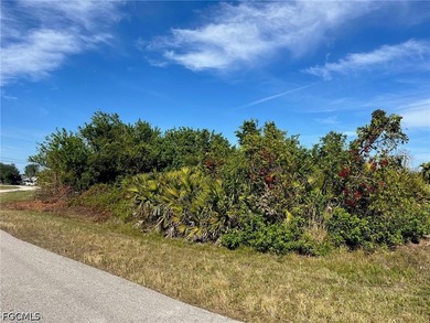 Excellent opportunity in a fast-growing, but tranquil SW - photo 2