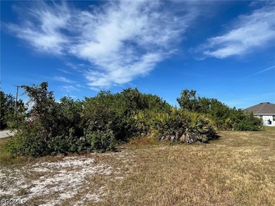 Excellent opportunity in a fast-growing, but tranquil SW - photo 4