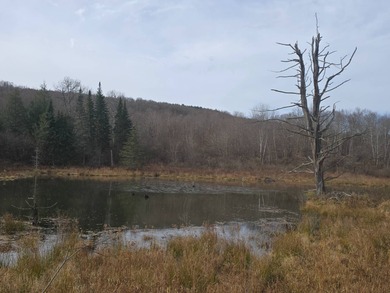 Lake Acreage For Sale in New Lisbon, New York