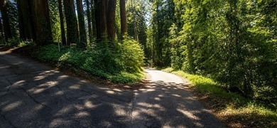 Nestled among towering redwoods just 2.5 miles from downtown - photo 1