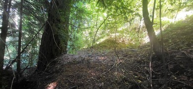 Nestled among towering redwoods just 2.5 miles from downtown - photo 3