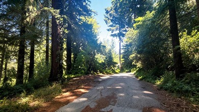Nestled among towering redwoods just 2.5 miles from downtown - photo 4
