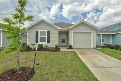 Lake Home For Sale in Princeton, Texas