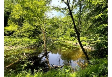 Camp Fish Creek - photo 17