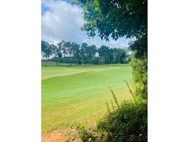 (private lake, pond, coastal) Lot For Sale in Ball Ground Georgia