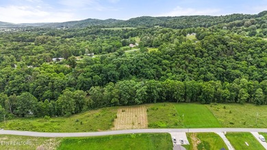 Build Your Dream Home Near Norris Lake -- Peace, Possibility - photo 11