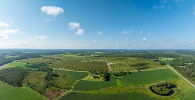 Banks Lake Acreage For Sale in Naylor Georgia