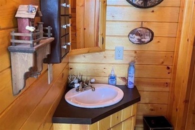 Now is your chance to own an ISLAND! This unique property was - photo 15