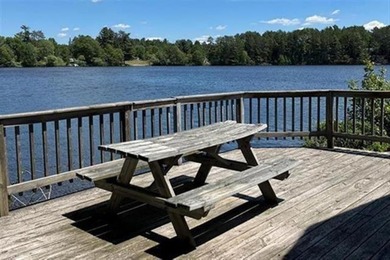 Now is your chance to own an ISLAND! This unique property was - photo 19