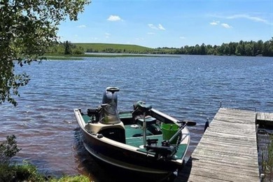 Now is your chance to own an ISLAND! This unique property was - photo 22