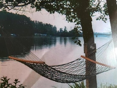 Now is your chance to own an ISLAND! This unique property was - photo 24